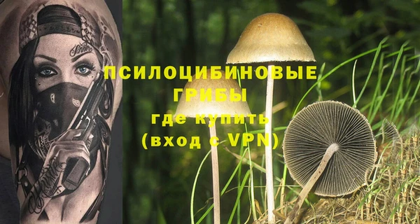 гидропоника Нея