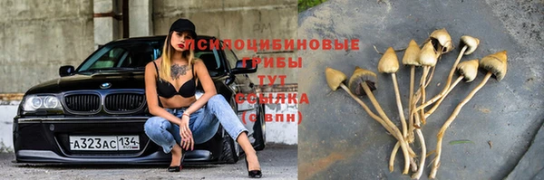 хмурый Надым