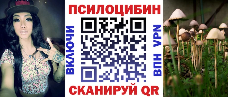 Купить  Салават  Псилоцибиновые грибы прущие грибы 