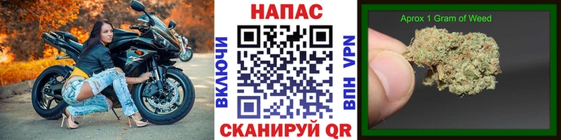 Купить где  Салават  Каннабис конопля 